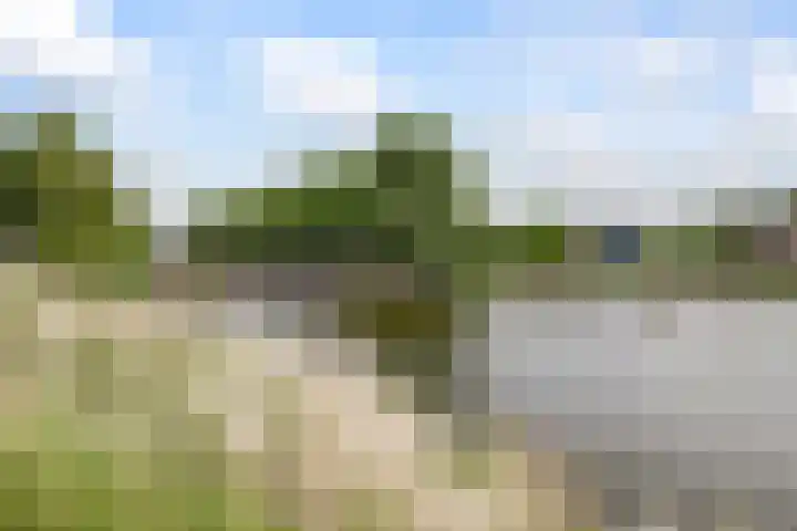 Minahassastraat 40 Utrecht thumbnail 33
