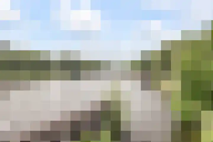 Minahassastraat 40 Utrecht thumbnail 34