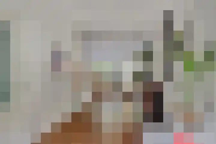 Minahassastraat 40 Utrecht thumbnail 9