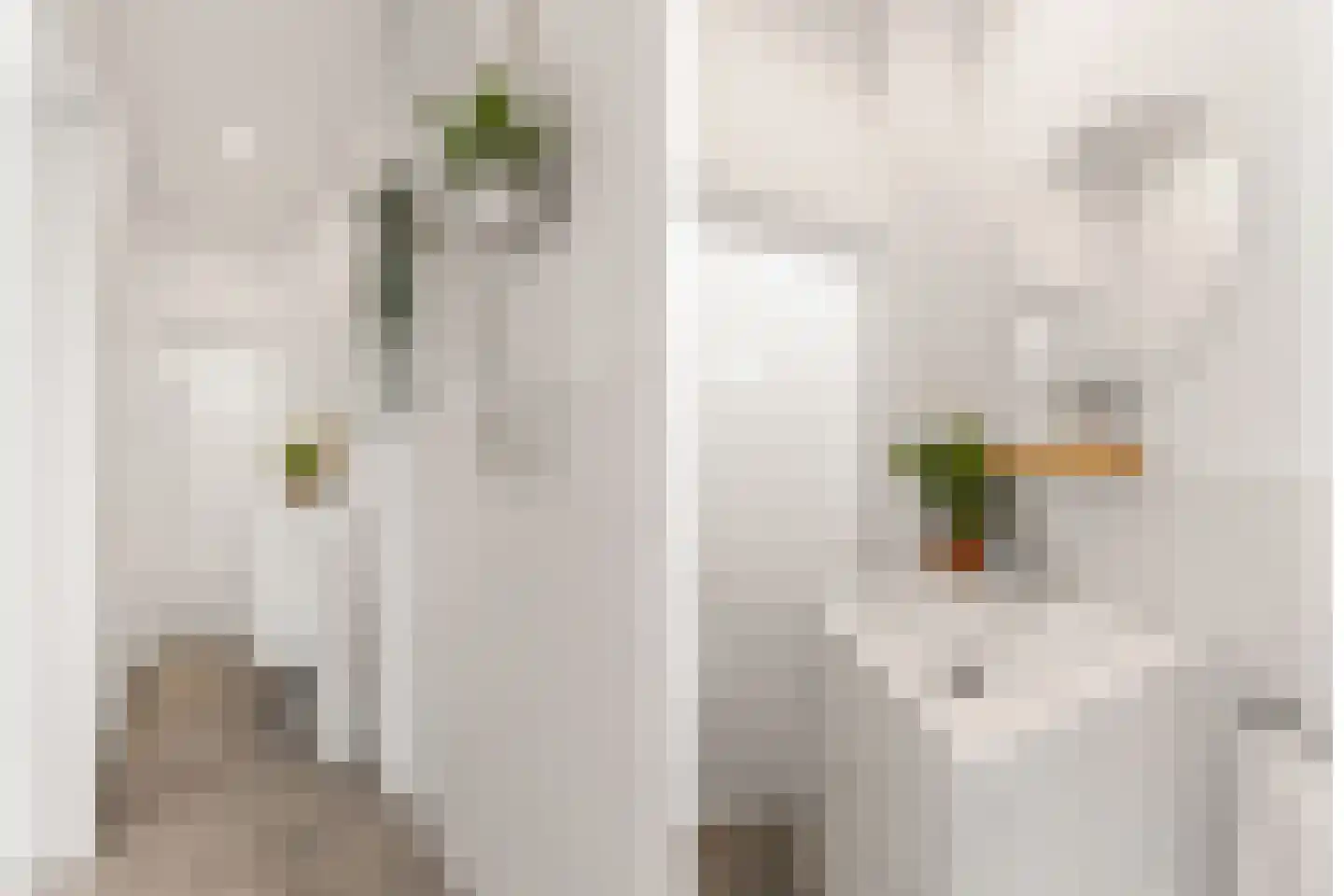 Minahassastraat 46 Utrecht thumbnail 23