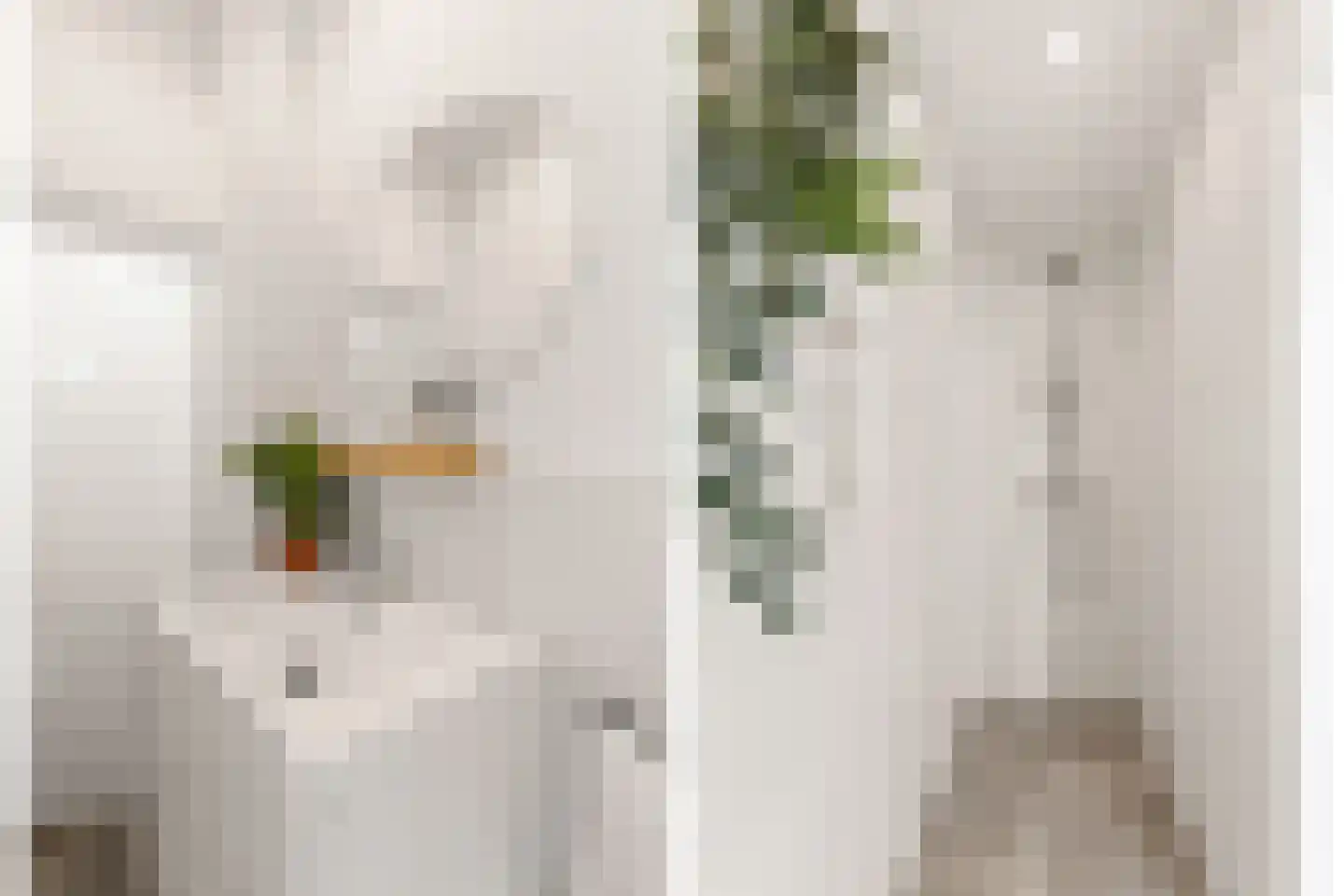 Minahassastraat 46 Utrecht thumbnail 24