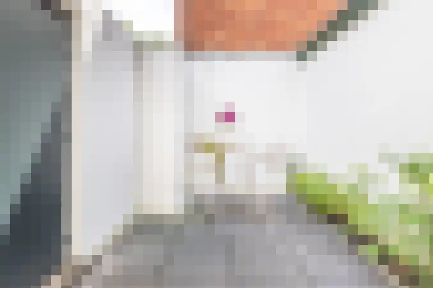 Minahassastraat 46 Utrecht thumbnail 26