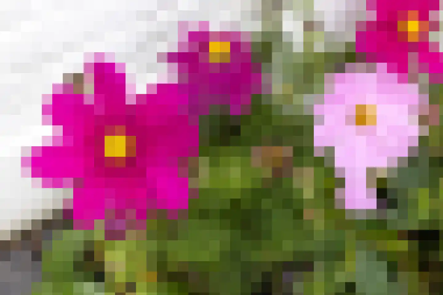 Minahassastraat 46 Utrecht thumbnail 27