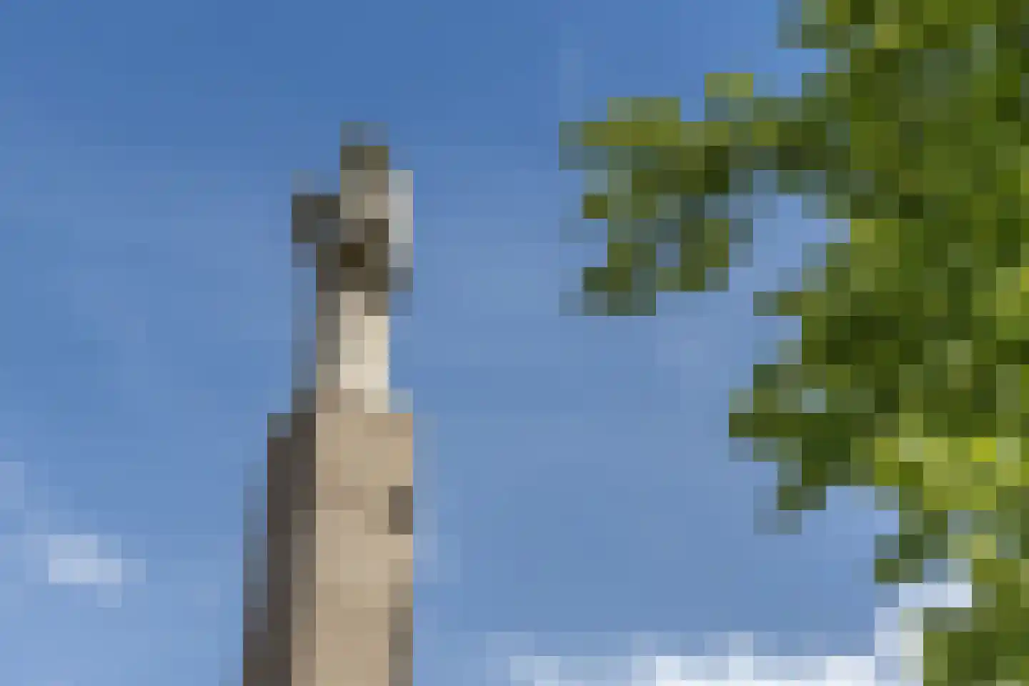 Minahassastraat 46 Utrecht thumbnail 35