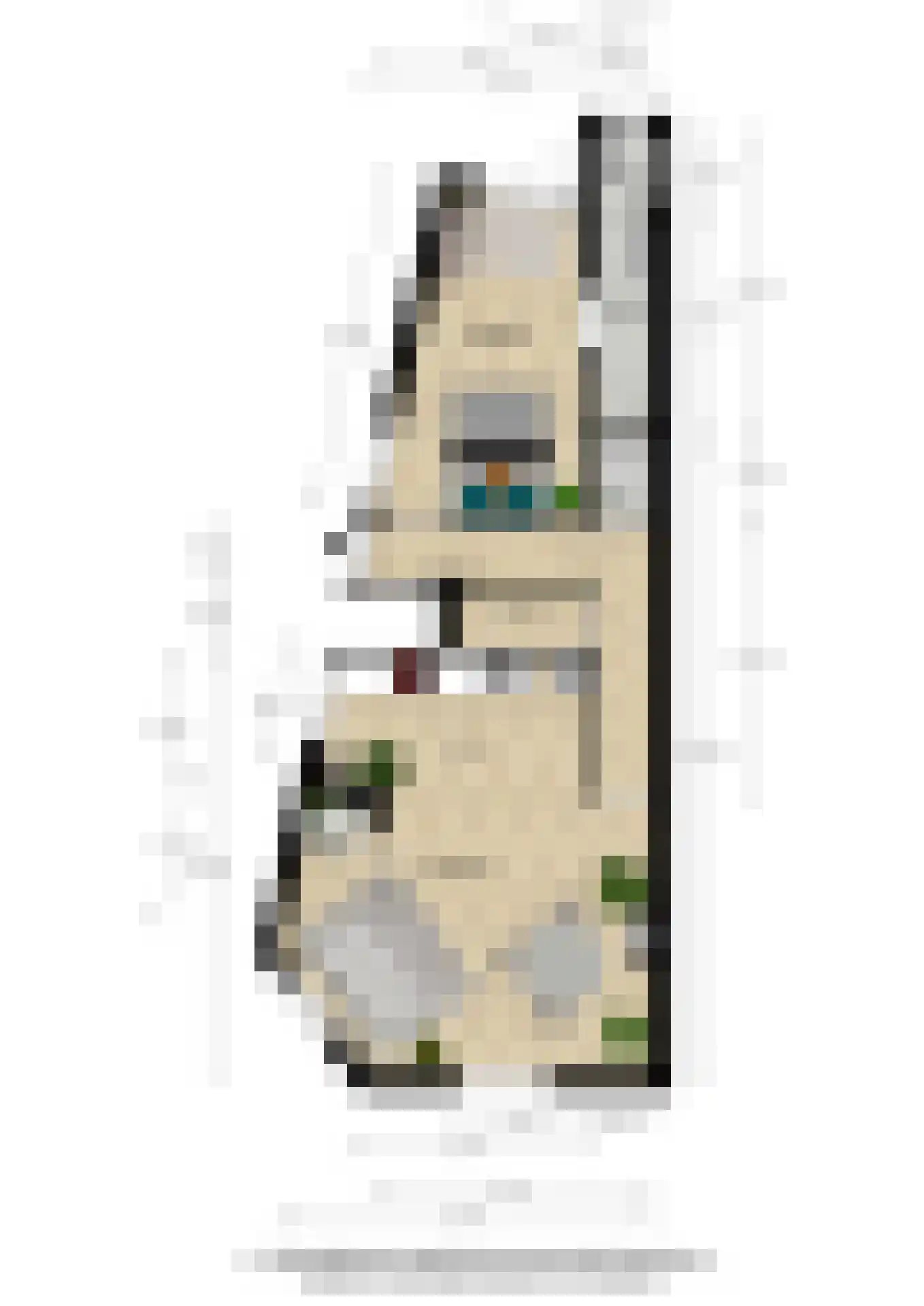 Minahassastraat 46 Utrecht thumbnail 36