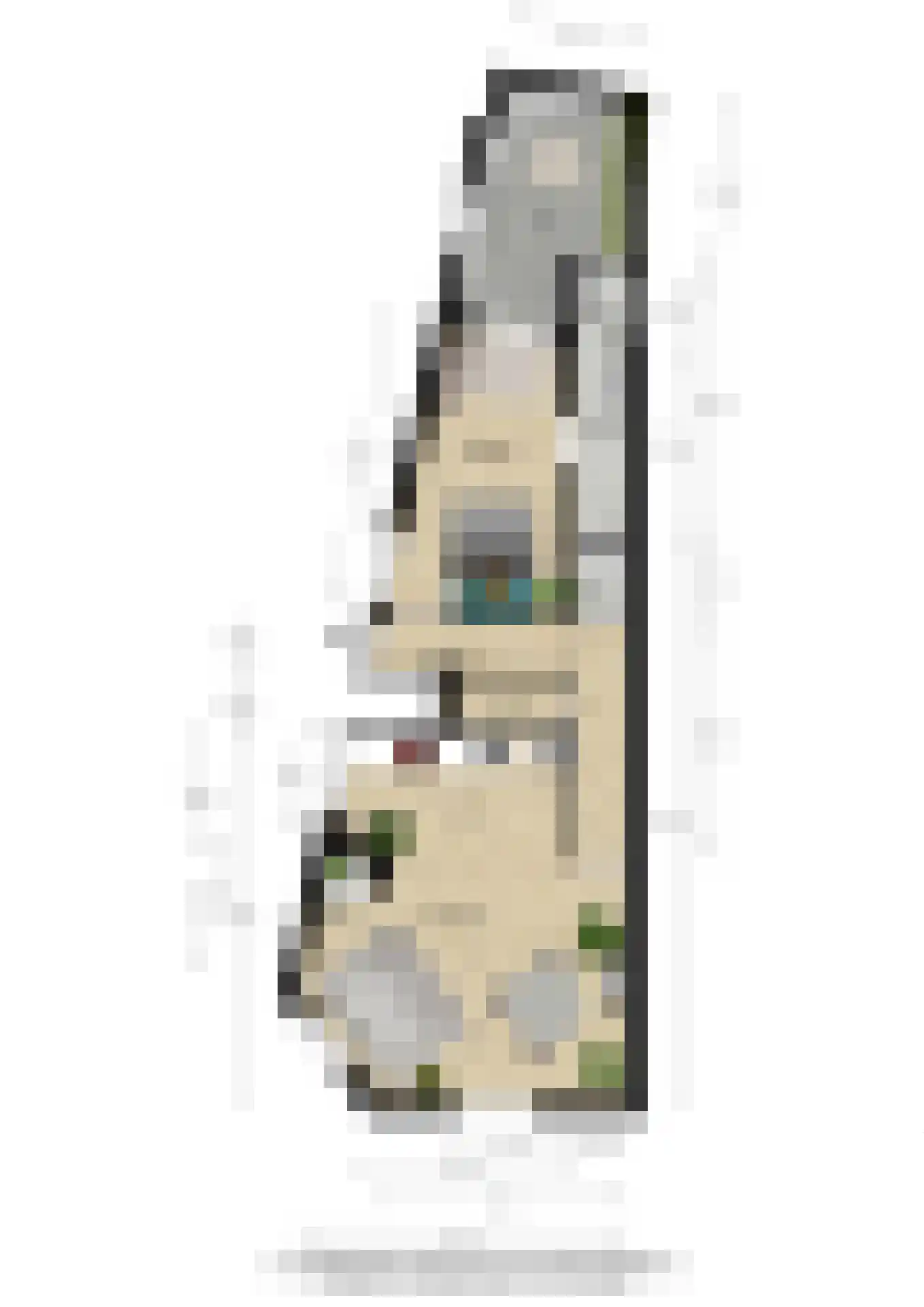 Minahassastraat 46 Utrecht thumbnail 37
