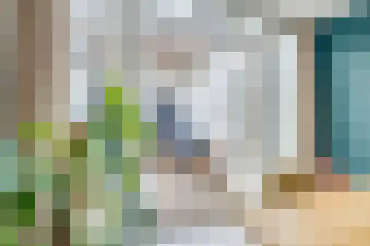 Minahassastraat 5 Utrecht thumbnail 22