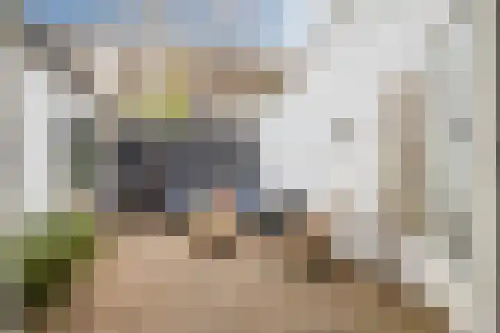 Minahassastraat 5 Utrecht thumbnail 29