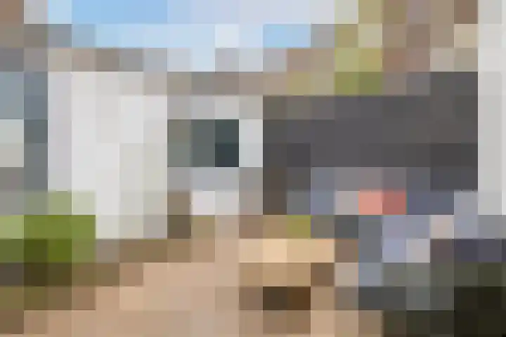 Minahassastraat 5 Utrecht thumbnail 30