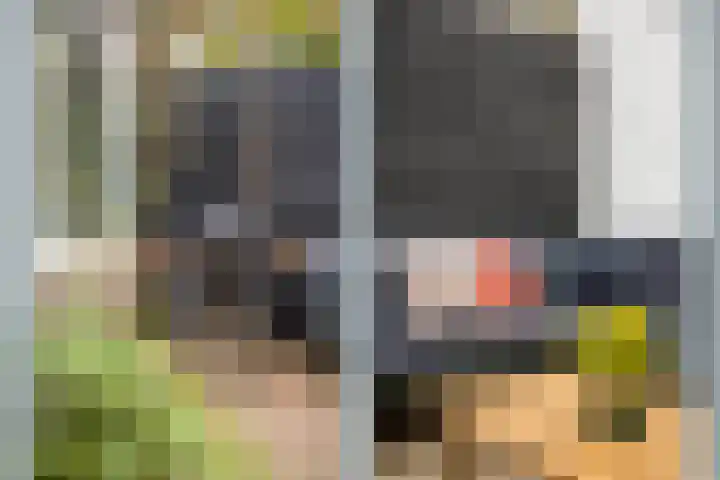 Minahassastraat 5 Utrecht thumbnail 32