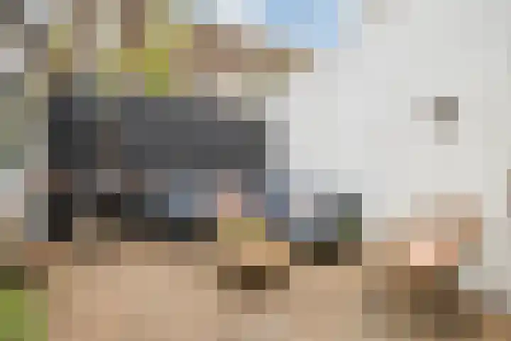 Minahassastraat 5 Utrecht thumbnail 5