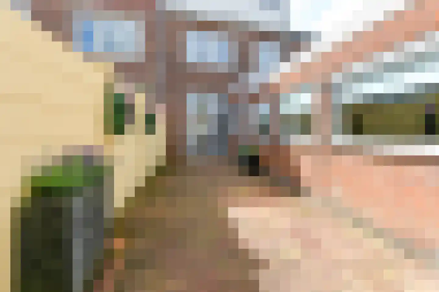 Minahassastraat 53 Haarlem thumbnail 30