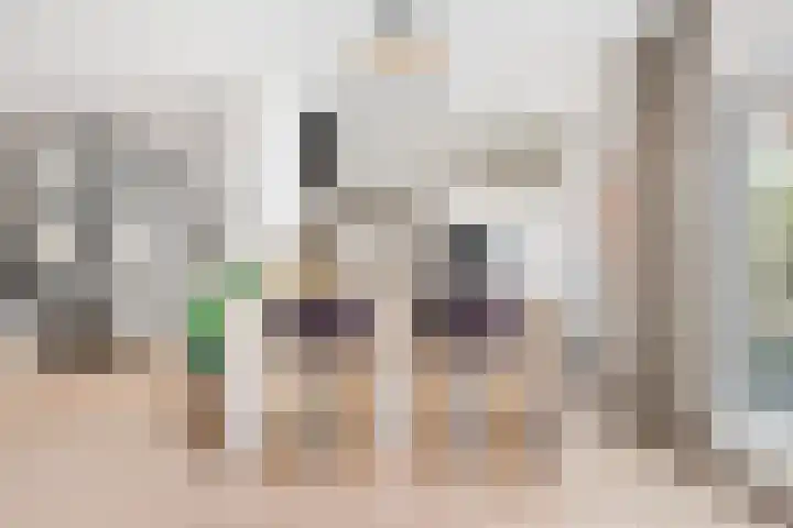 Minahassastraat 65 Haarlem thumbnail 17