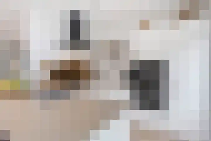 Minahassastraat 65 Haarlem thumbnail 18