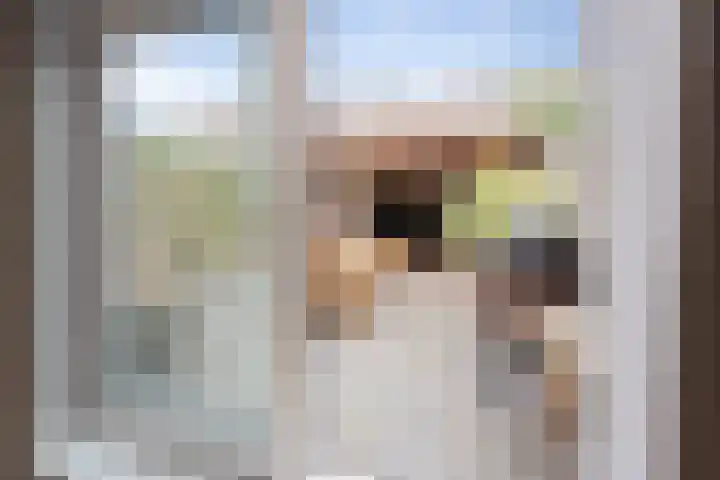 Minahassastraat 65 Haarlem thumbnail 20