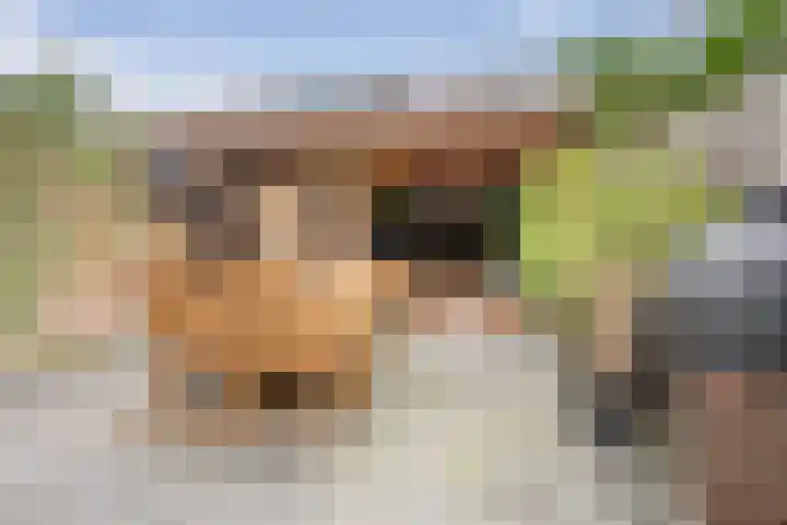 Minahassastraat 65 Haarlem thumbnail 21