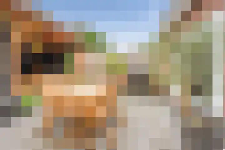 Minahassastraat 65 Haarlem thumbnail 22