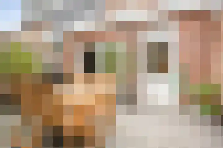 Minahassastraat 65 Haarlem thumbnail 23