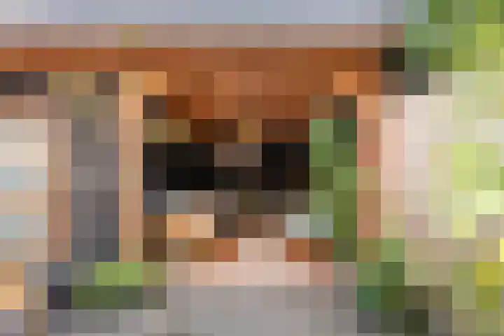 Minahassastraat 65 Haarlem thumbnail 25