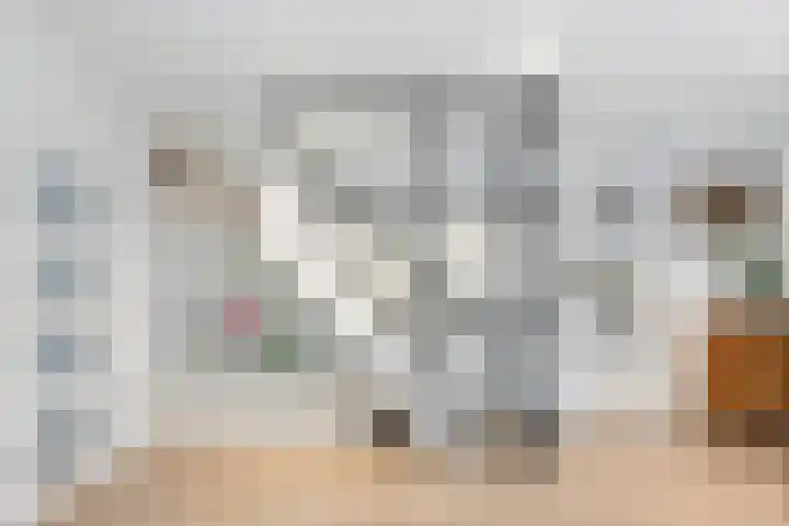 Minahassastraat 65 Haarlem thumbnail 30