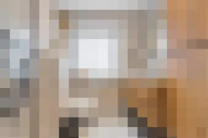 Minahassastraat 65 Haarlem thumbnail 5