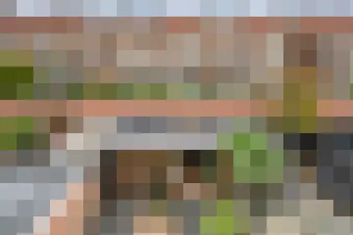 Minahassastraat 65 Haarlem thumbnail 53