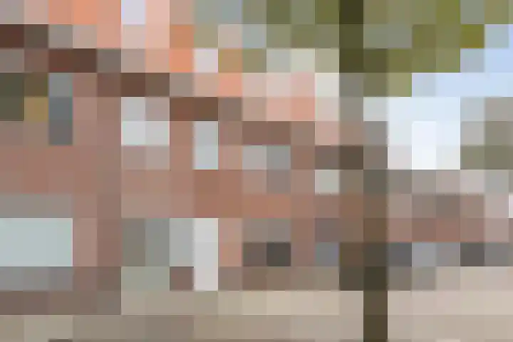Minahassastraat 65 Haarlem thumbnail 6