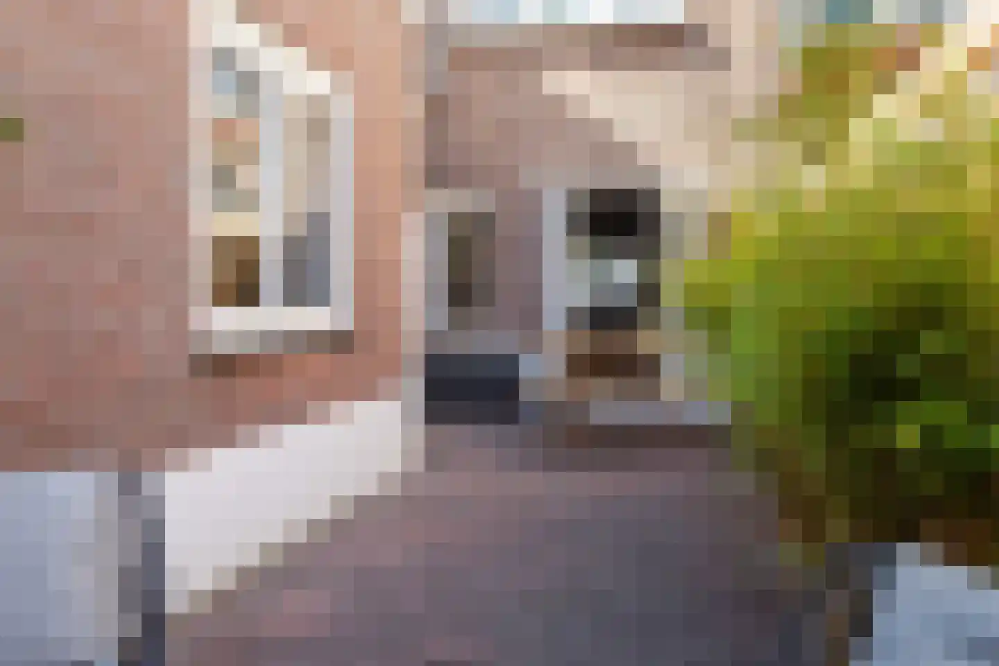 Minahassastraat 7 Utrecht thumbnail 24