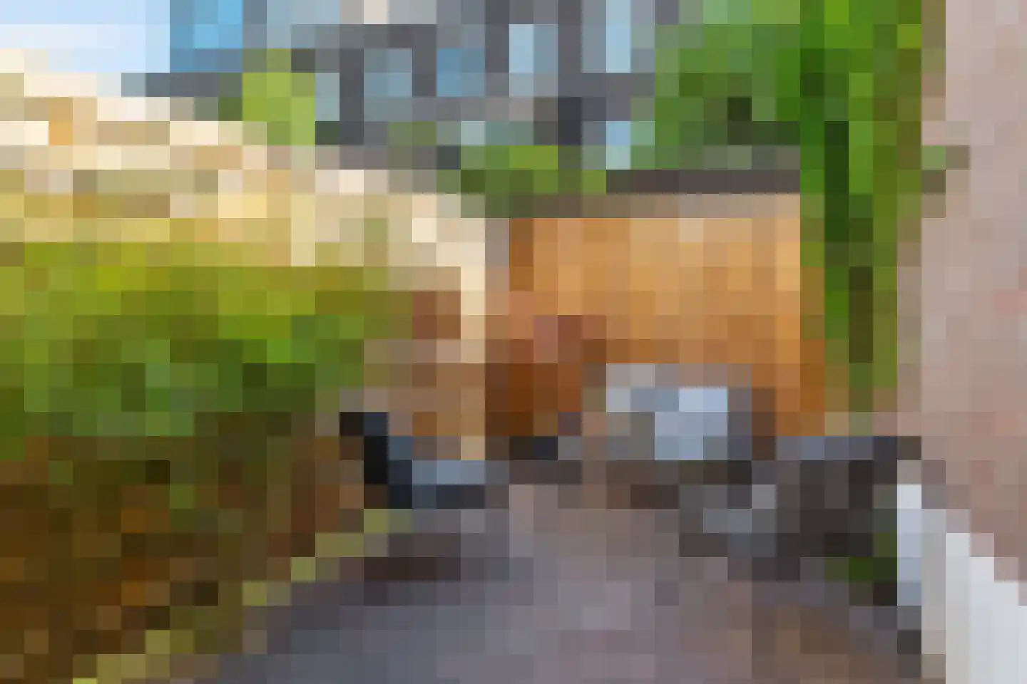 Minahassastraat 7 Utrecht thumbnail 26