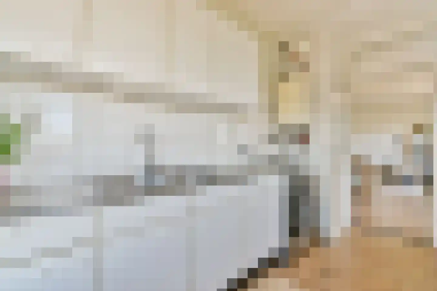 Minahassastraat 8 A Amsterdam thumbnail 12