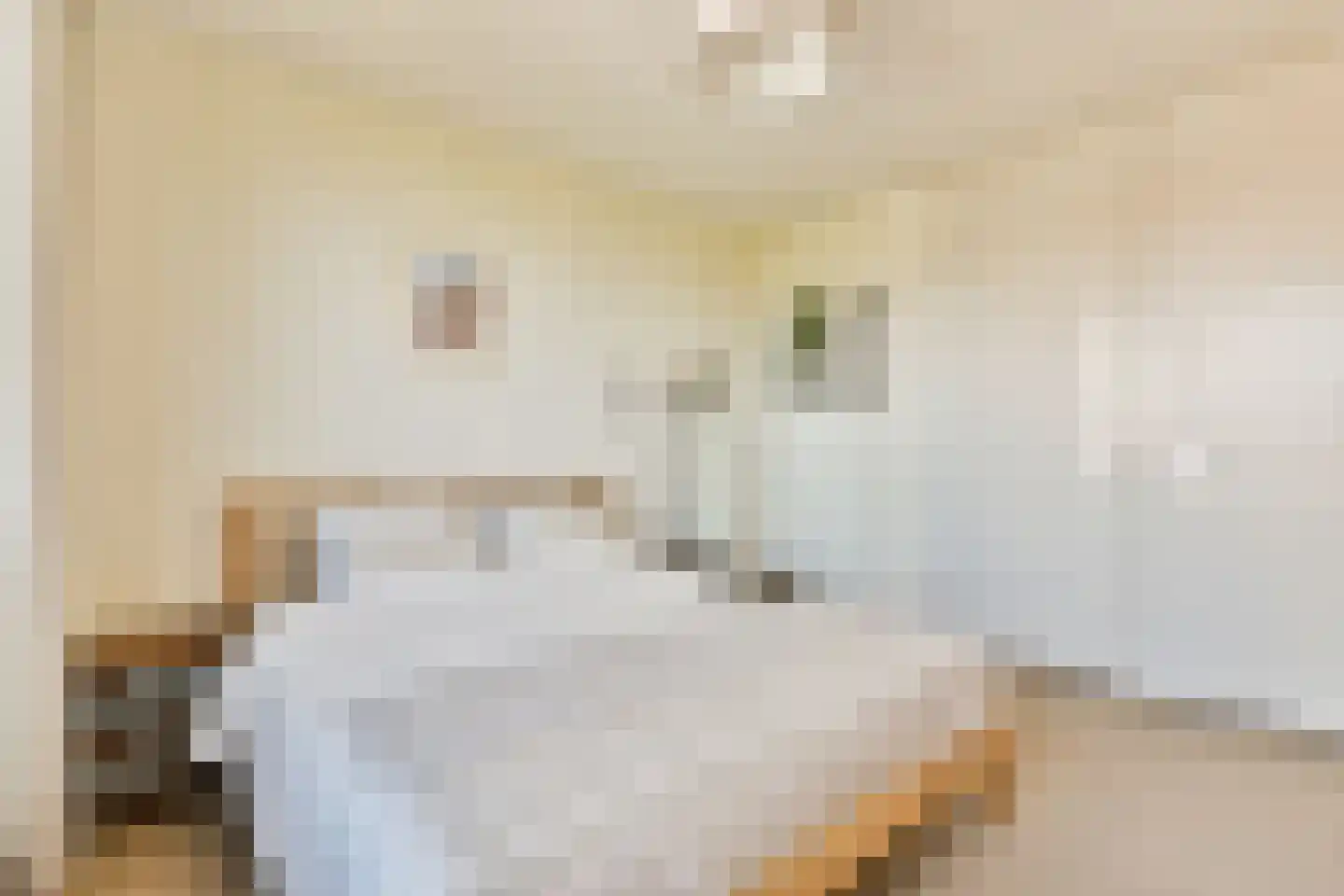 Minahassastraat 8 A Amsterdam thumbnail 18