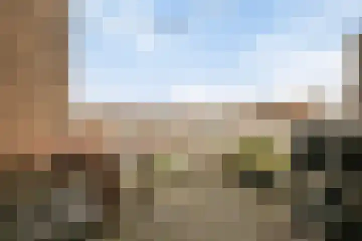Minahassastraat 84 Amsterdam thumbnail 10