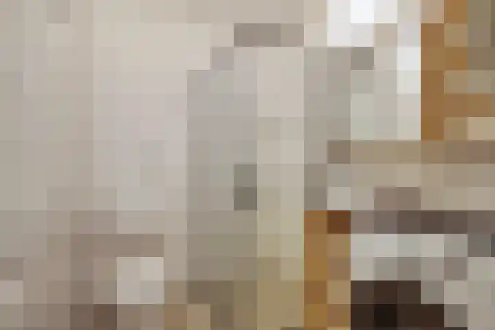 Minahassastraat 84 Amsterdam thumbnail 16