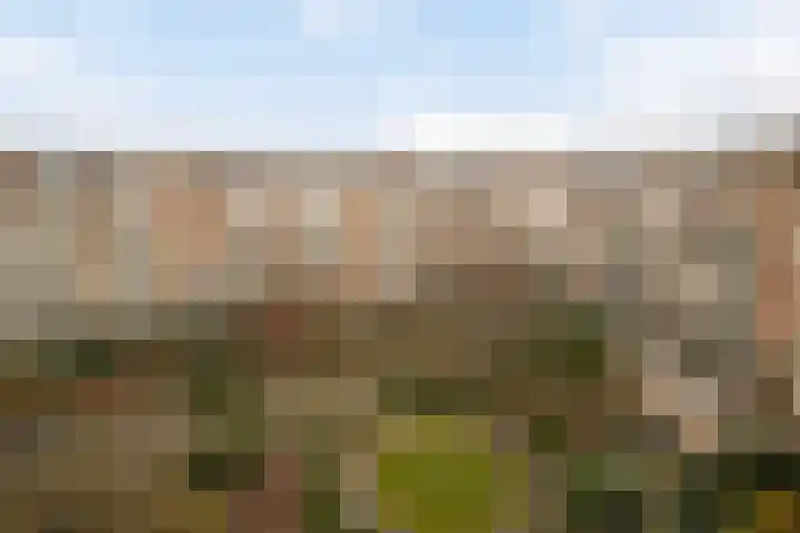 Minahassastraat 84 Amsterdam thumbnail 24