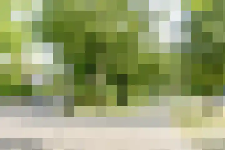 Minahassastraat 84 Amsterdam thumbnail 30