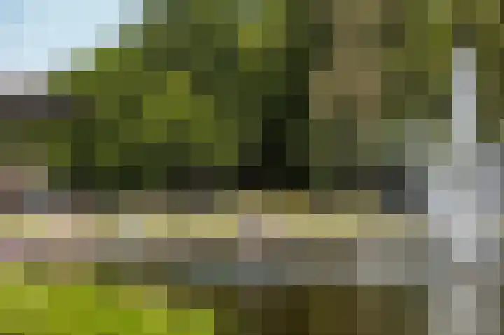 Minahassastraat 84 Amsterdam thumbnail 31