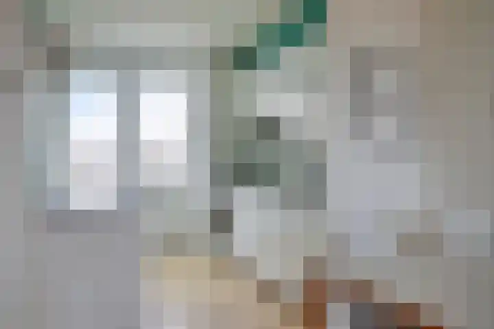 Minahassastraat 84 Amsterdam thumbnail 7
