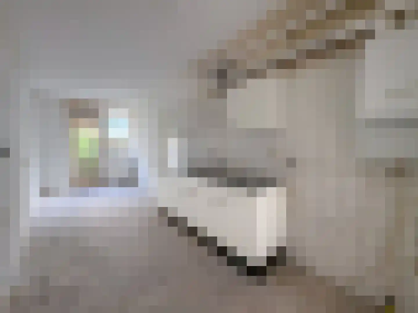 Minahassastraat 9 Amsterdam thumbnail 6