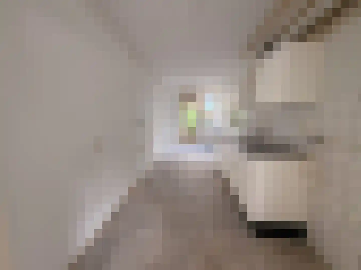Minahassastraat 9 Amsterdam thumbnail 7