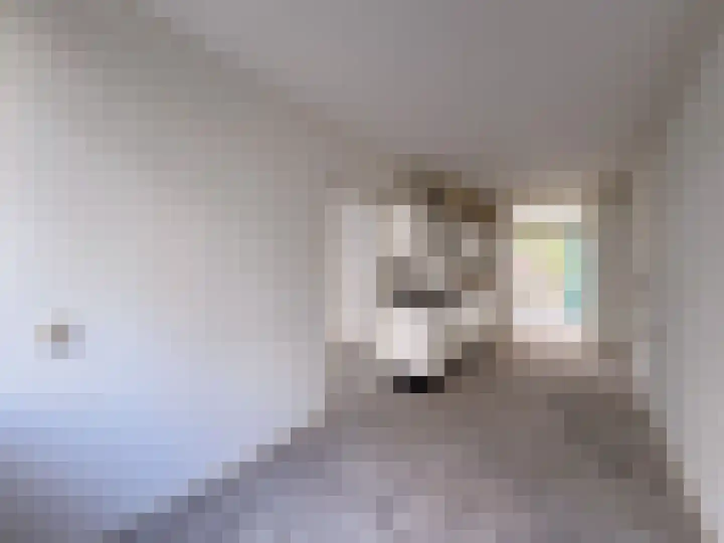 Minahassastraat 9 Amsterdam thumbnail 8