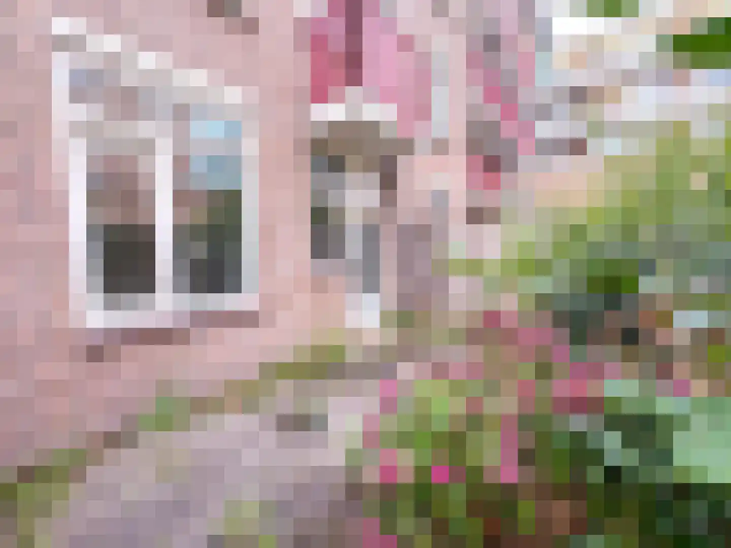 Minahassastraat 9 Amsterdam thumbnail 9