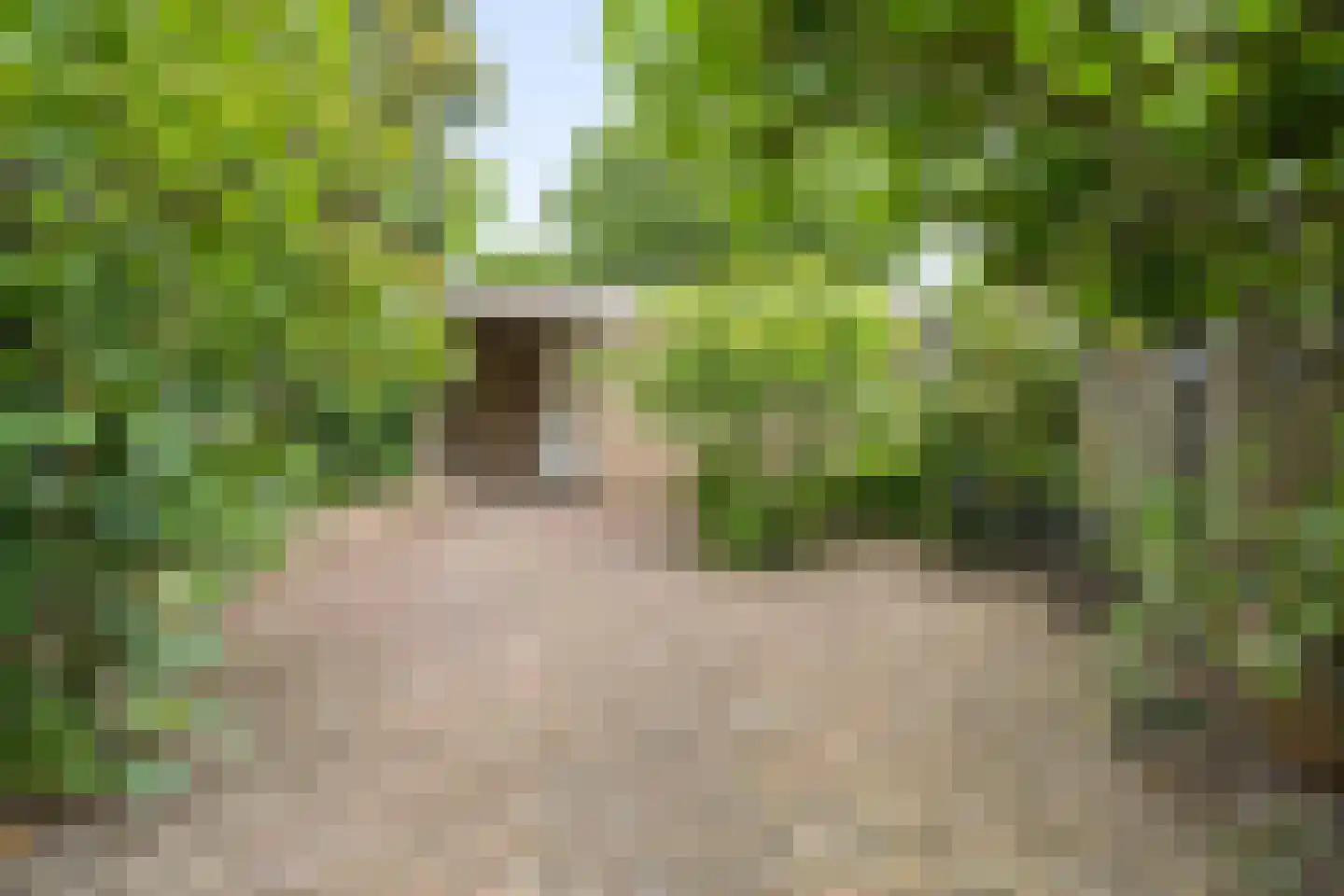 Minaretdreef 32 Utrecht thumbnail 34