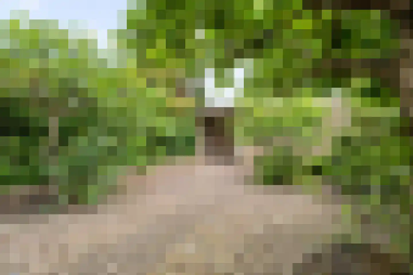 Minaretdreef 32 Utrecht thumbnail 36