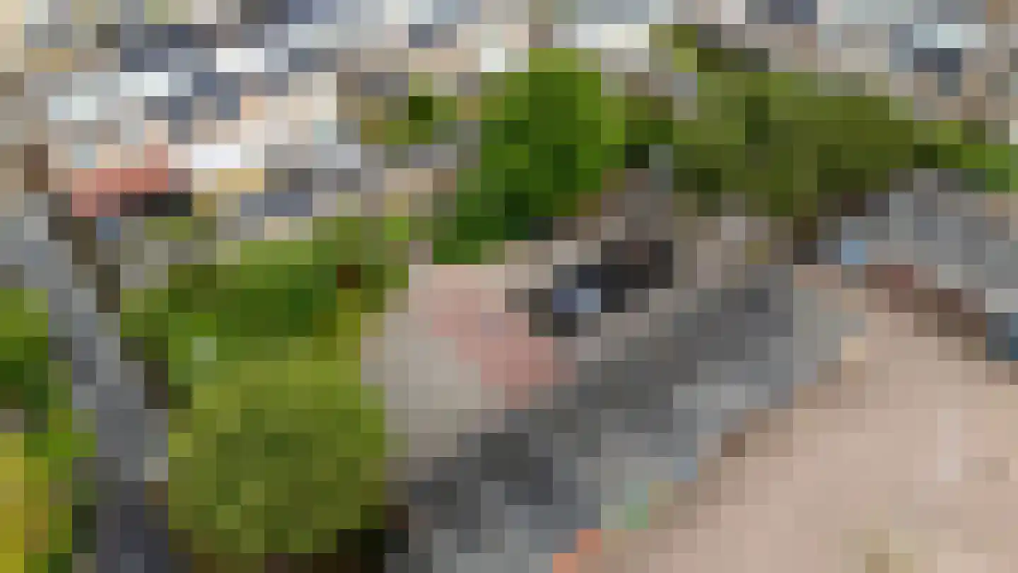 Minaretdreef 32 Utrecht thumbnail 40