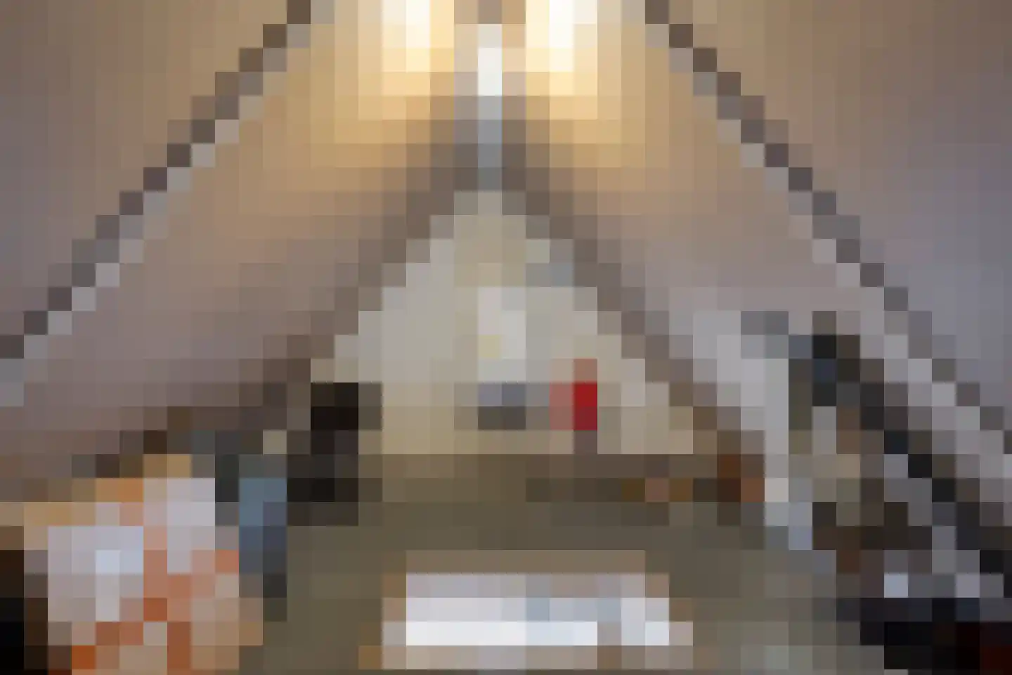 Mincerstraat 11 Dorst thumbnail 15