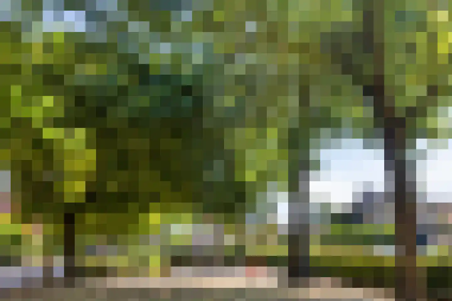 Mincerstraat 11 Dorst thumbnail 22