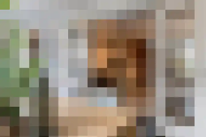 Mincerstraat 47 Dorst thumbnail 11