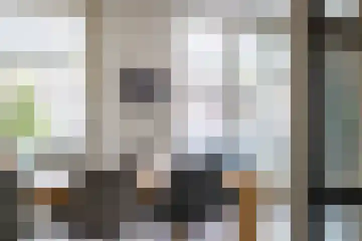 Mincerstraat 47 Dorst thumbnail 12