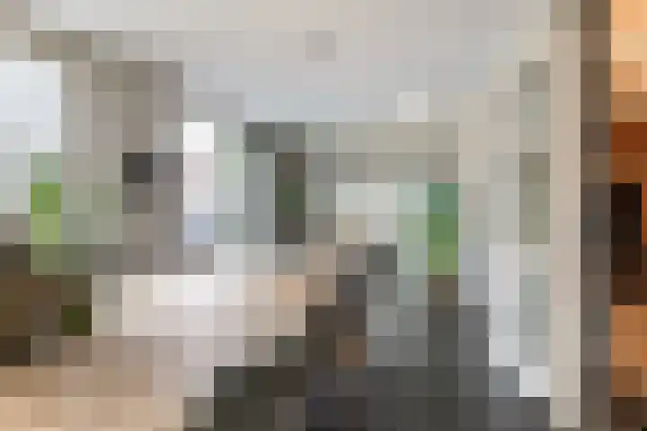 Mincerstraat 47 Dorst thumbnail 13