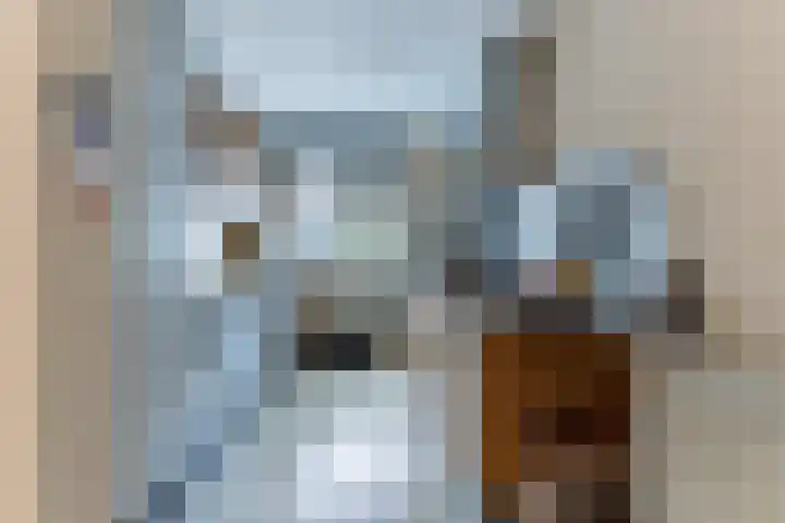 Mincerstraat 47 Dorst thumbnail 15